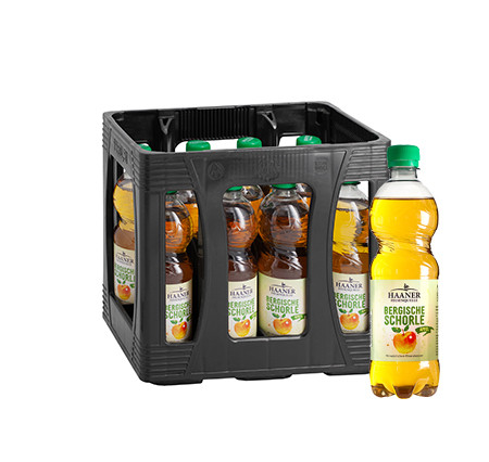 HAANER Apfelschorle 11/0,5 PET (EINWEG)